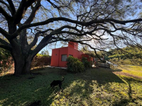 La casita anaranjá